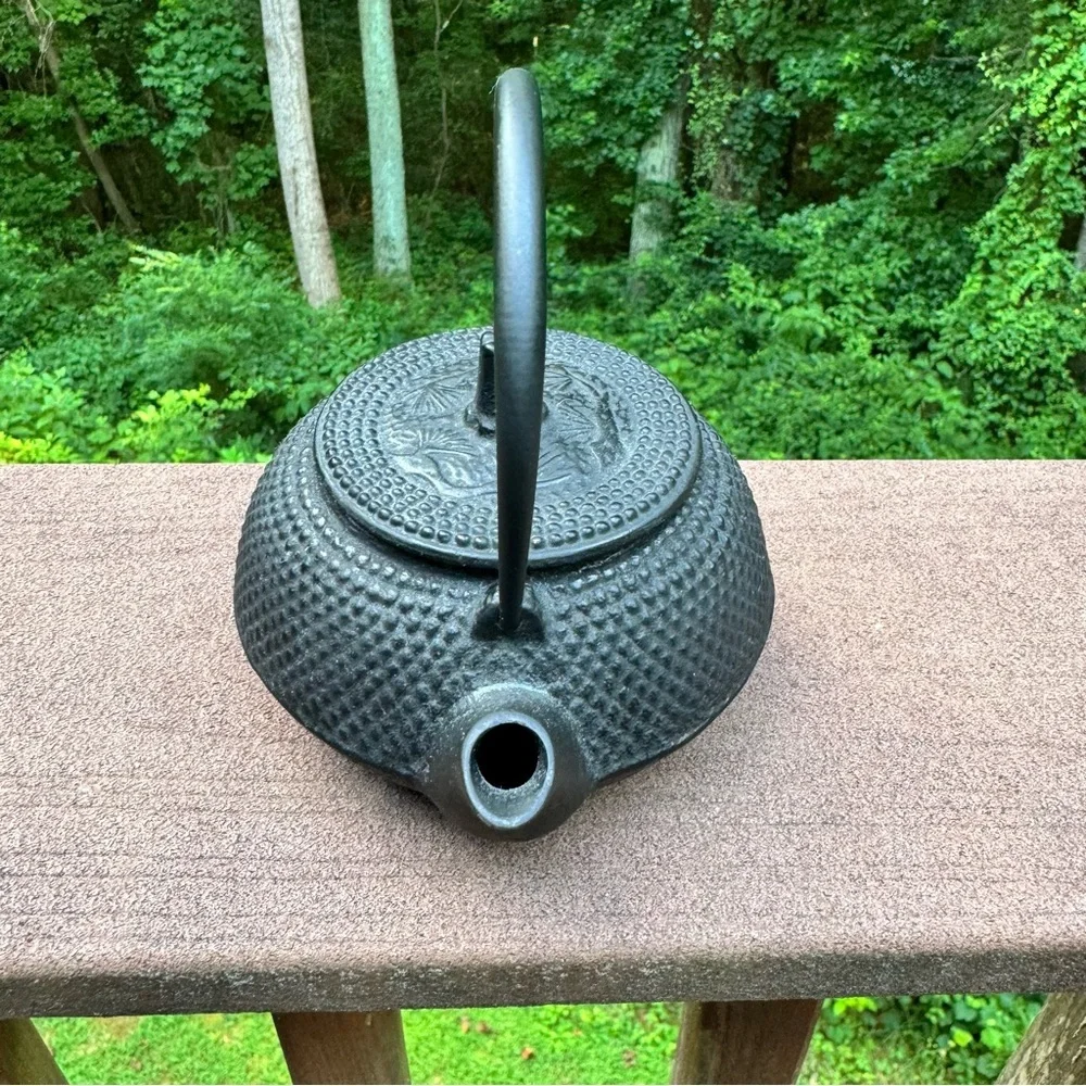 Japanese Cast Iron Arare Hobnail Tetsubin Style Teapot Infuser Black Made Japan